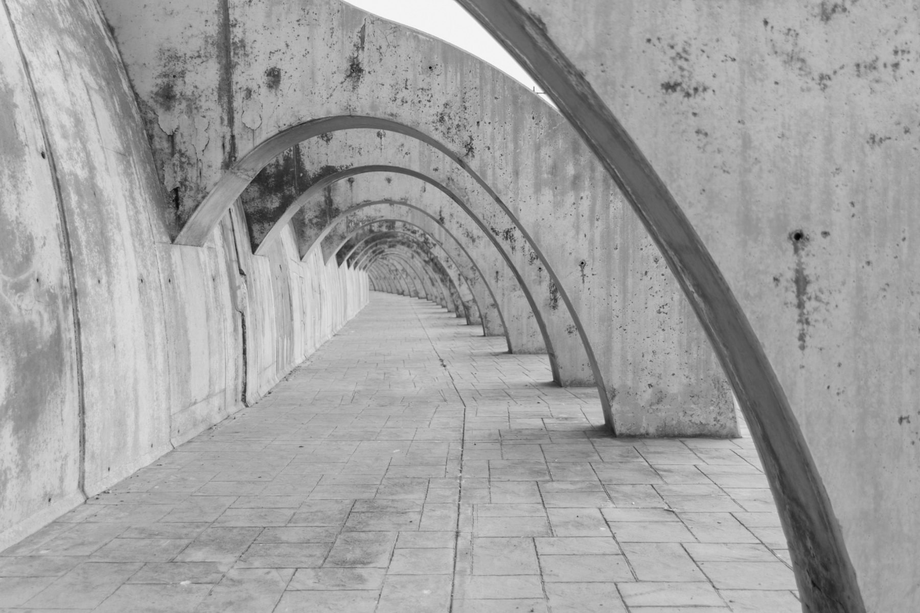 Geometric perspective of columns